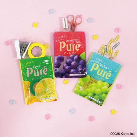 funbox ピュレグミチャック付き袋 A7対応サイズ6枚入りPureグミ