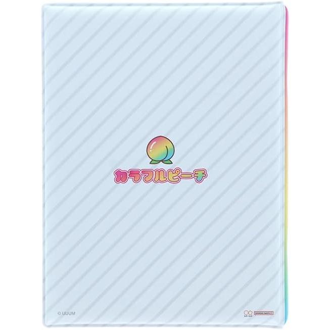 サンスター文具 数量限定 カラフルピーチ シールバインダー シール帳