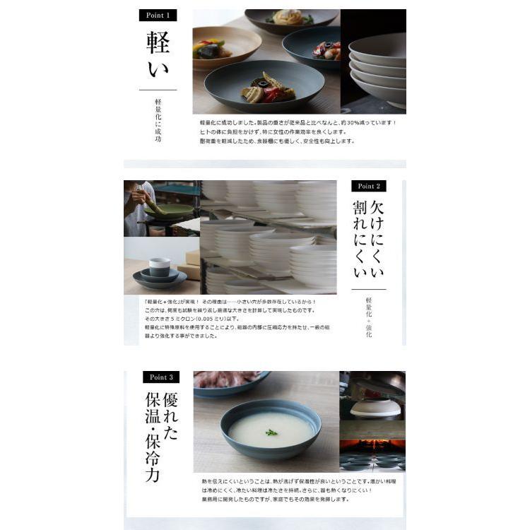 皿 おしゃれ パスタ皿 カレー皿 有田焼 Koselig-arita multi plate