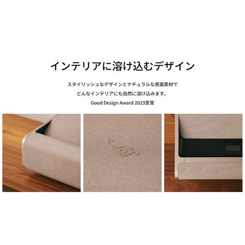 Aladdin X XM03F Aladdin Marca ミスティー ゴールド_9
