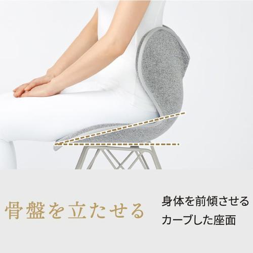 Style Chair PM スタイルチェア ピーエム ベージュ Style 健康 Chair 