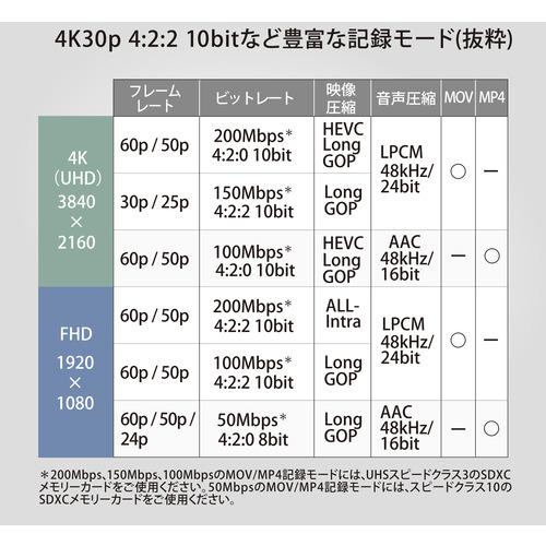 Ｐａｎａｓｏｎｉｃ HC-X2 デジタル4Kビデオカメラ ビデオカメラ HCX2｜yamada-denki-2｜04