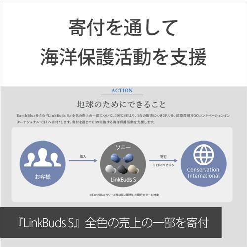 ソニー WF-LS900N LC ワイヤレスノイズキャンセリングステレオヘッドセット LinkBuds S 環境配慮モデル アースブルーの画像