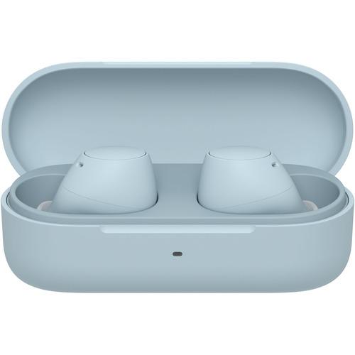 ソニー ワイヤレス イヤホン 左右分離 IPX4 最大22時間 USB-C WF-C510