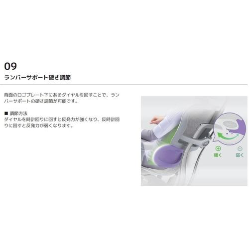 関家具 Ergohuman エルゴヒューマン 新基盤タイプ PRO2 Low EHP2-LAM-DR-GF-BL グレーフレーム×ブルー 445424_10