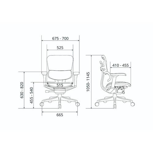 関家具 Ergohuman エルゴヒューマン 新基盤タイプ PRO2 Low EHP2-LAM-DR-GF-BL グレーフレーム×ブルー 445424_2