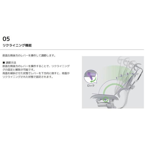 関家具 Ergohuman エルゴヒューマン 新基盤タイプ PRO2 Low EHP2-LAM-DR-GF-BL グレーフレーム×ブルー 445424_7