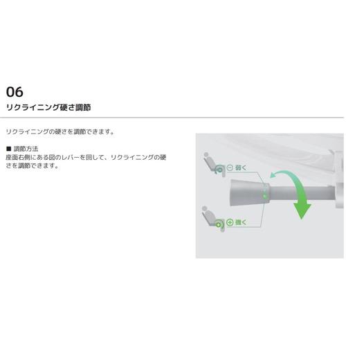 関家具 Ergohuman エルゴヒューマン 新基盤タイプ PRO2 Low EHP2-LAM-DR-GF-BL グレーフレーム×ブルー 445424_8