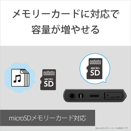 ソニー NW-A306 L ウォークマン ハイレゾ音源対応 WALKMAN A300シリーズ 32GB ブルー｜yamada-denki-2｜09