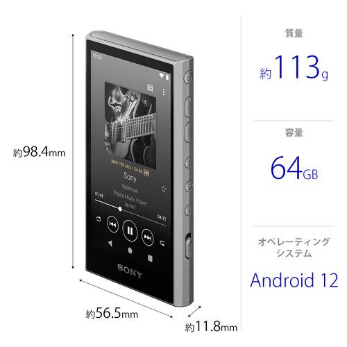 ソニー NW-A307 H ウォークマン ハイレゾ音源対応 WALKMAN A300シリーズ 64GB グレー｜yamada-denki-2｜02