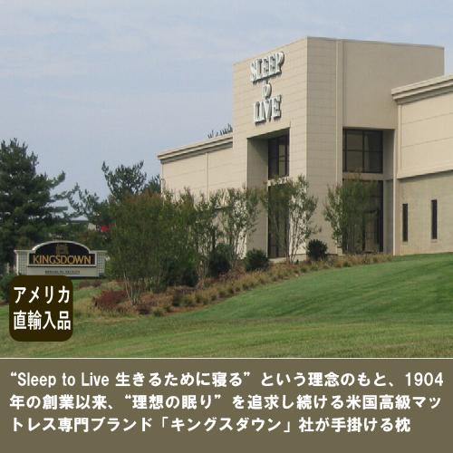 大塚家具 枕 アダプティブピロー 高反発ウレタン ロータイプ 厚さ6cm