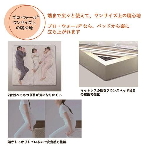 フランスベッド クイーン マットレスLT-5500Y PWMON きれいがつづく 除菌マットレス ミディアムソフト 日本製