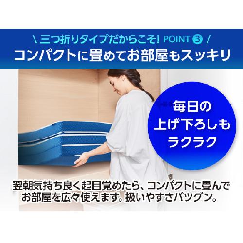 セミダブル]ショップジャパン トゥルースリーパープレミアリッチ三