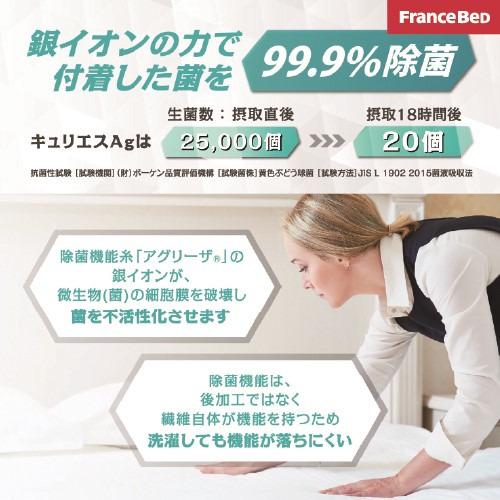 フランスベッド マットレスカバーLTマットレスカバー シングル グリーン