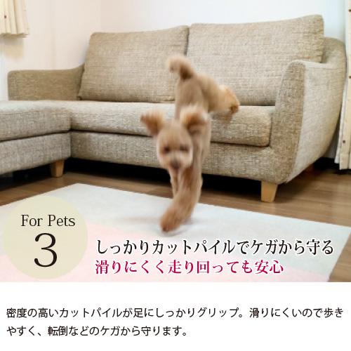 東リ ペットと人にやさしいカーペット ウィズペットフロアWPF02