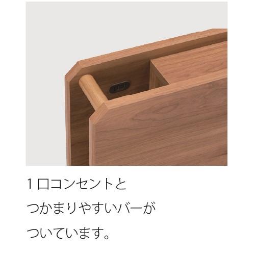 [虚蝉ダブル]フランスベッド 電動寝台ひな型UD102CLGRXKDAIOTMまっ黒い