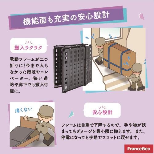 [虚蝉ダブル]フランスベッド 電動寝台ひな型UD102CLGRXKDAIOTMまっ黒い