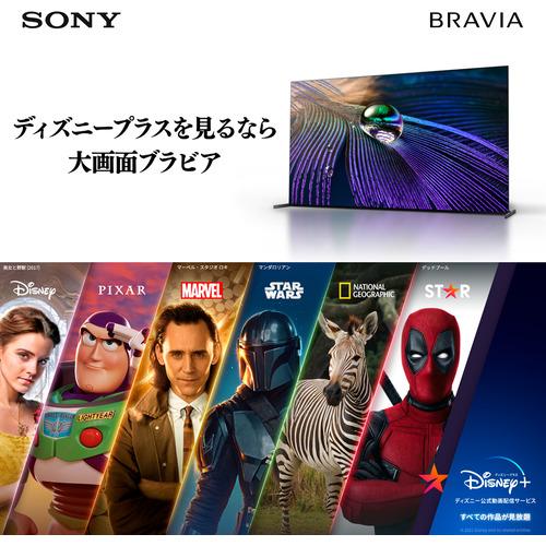 ソニー KJ-43X85K 43V型 4K 液晶テレビ BRAVIA KJ43X85K ソニー KJ-43X85K 43V型 4K 液晶テレビ BRAVIA KJ43X85K