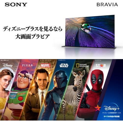 【無料長期保証】ソニー KJ-43X85K 43V型 4K 液晶テレビ BRAVIA KJ43X85K｜yamada-denki｜10