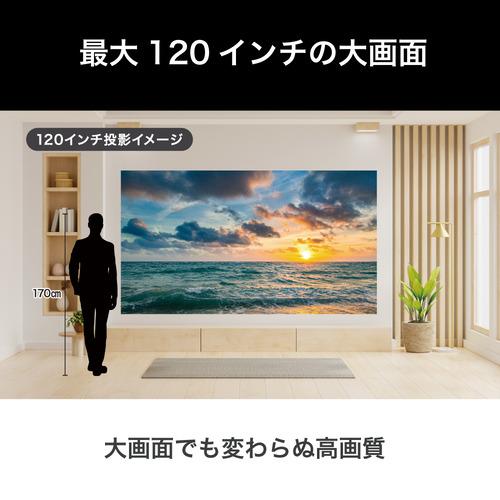 BLUEWIDE BW-F300BDP ブルーレイ x 地デジ一体型プロジェクター