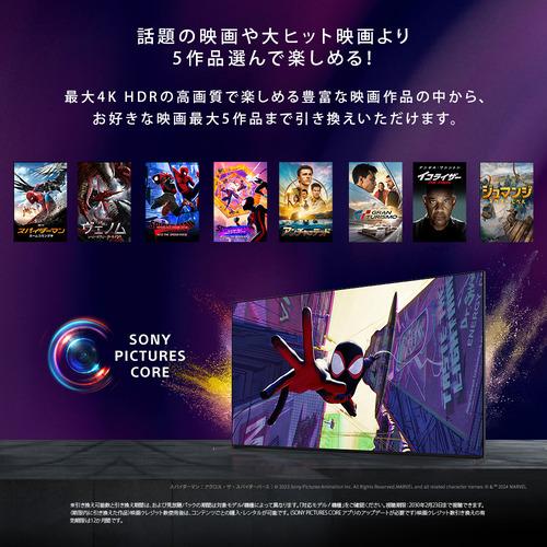6ヶ月間動作保証付　SONY　テレビ Amazon | ソニー 4V型 液晶 テレビ XDV-W600-WC フラッシュメモリ 2008
