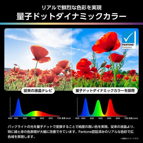 【無料長期保証】ハイセンス 116U9R 116V型 MiniLED 4K 液晶テレビ ダイナミックXディスプレイ搭載 Dolby ATMOS対応 BS 4K／110度CS 4Kチューナー内蔵の画像