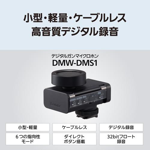 パナソニック DMW-DMS1 デジタルガンマイクロホン 6つの指向性モード