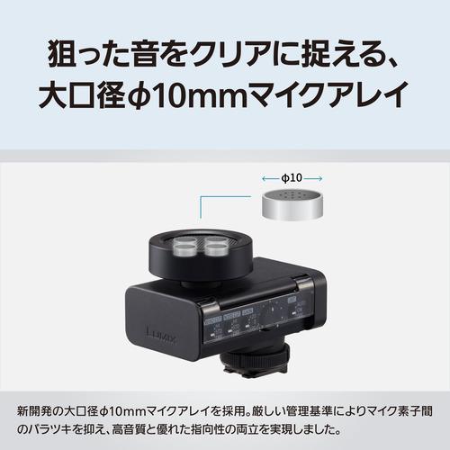 パナソニック DMW-DMS1 デジタルガンマイクロホン 6つの指向性モード
