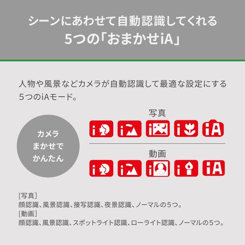 パナソニック HC-VX3-W デジタル4Kビデオカメラ パールホワイト_6