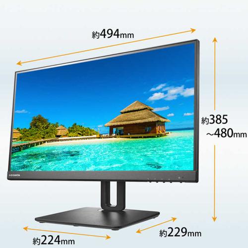 IOデータ 21.5型 フルHD ワイド液晶ディスプレイ　EX-D221SV-F LCD-D221SV-F | 100Hz対応＆フリースタイルスタンド21.5型（可視