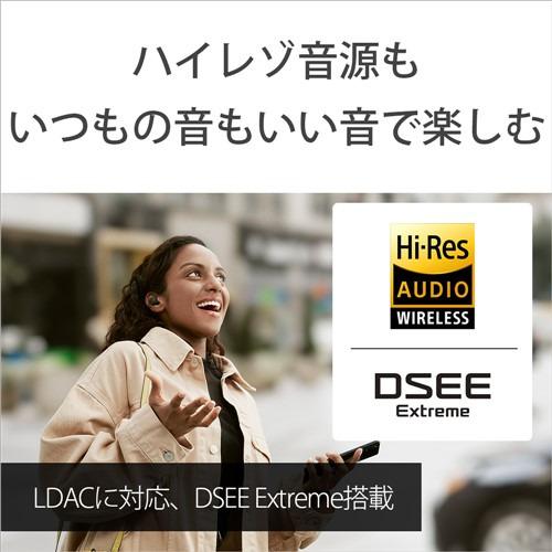 ソニー ワイヤレス イヤホン 左右分離 ノイズキャンセリング IPX4 最大30時間 USB-C LinkBuds S WF-LS900NBC ブラック系の画像