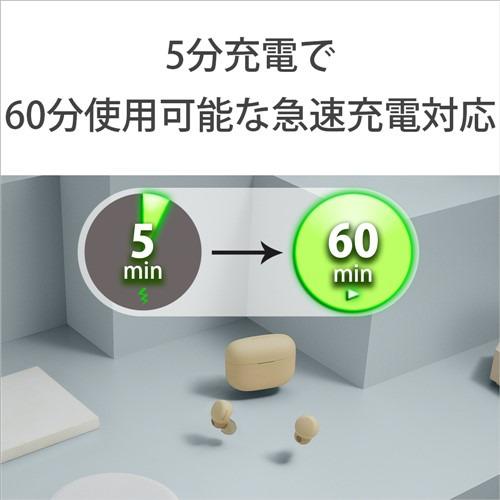 ソニー ワイヤレス イヤホン 左右分離 ノイズキャンセリング IPX4 最大30時間 USB-C LinkBuds S WF-LS900NCC ベージュ系の画像