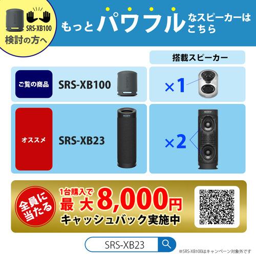 ソニー SRS-XB100 HC ワイヤレスポータブルスピーカー ライトグレー SRSXB100 HC｜yamada-denki｜03