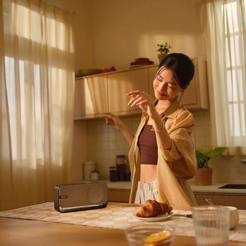 新品未開封Bose SoundLink  Speaker ウォームウッド Bose SoundLink Home Bluetooth Speaker Bluetooth対応 ウォームウッド