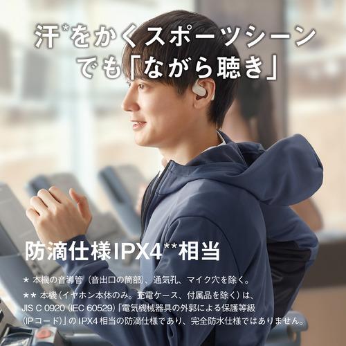 パナソニック RB-F10D-K 完全ワイヤレスイヤホン 左右分離 ノイズ