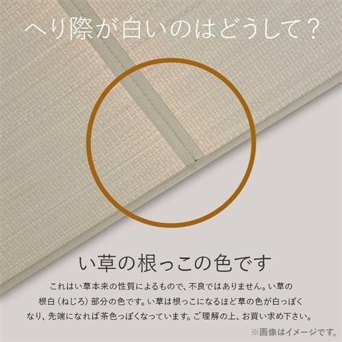 イケヒコ・コーポレーション あぐら NV 約82×82cm ネイビー