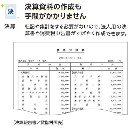 弥生 YWAV0001 弥生会計 26 プロフェッショナル 2ユーザー 通常版 イン