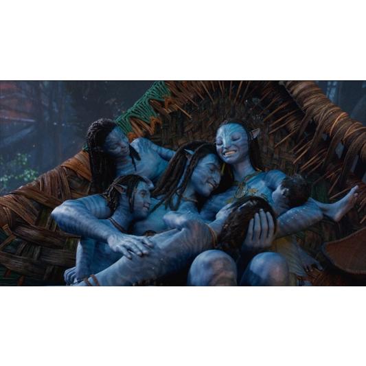 アバター、アバターウェイ・オブ・ウォーター　2作品セット BLU-R】アバター：ウェイ・オブ・ウォーター ブルーレイ+DVDセット