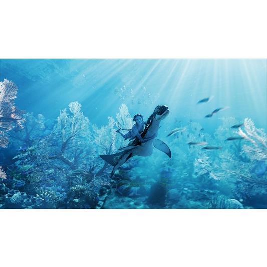 BLU-R】アバター：ウェイ・オブ・ウォーター ブルーレイ+DVDセット