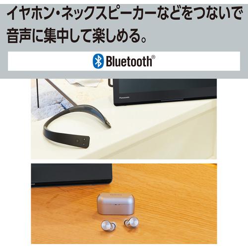 パナソニック UN-10L12 ポータブル地上・BS・110度CSデジタルテレビ