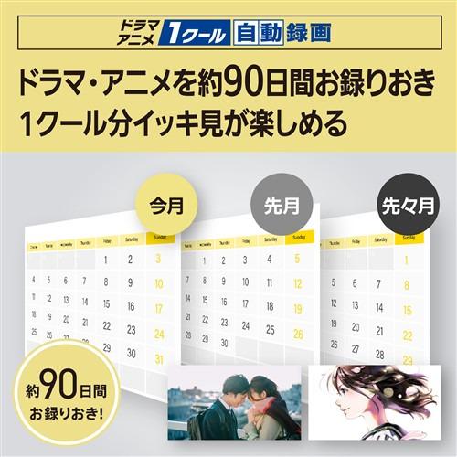 【期間限定ギフトプレゼント】パナソニック DMR-2W203 ブルーレイディスクレコーダー ディーガ 2TB 2番組同時録画