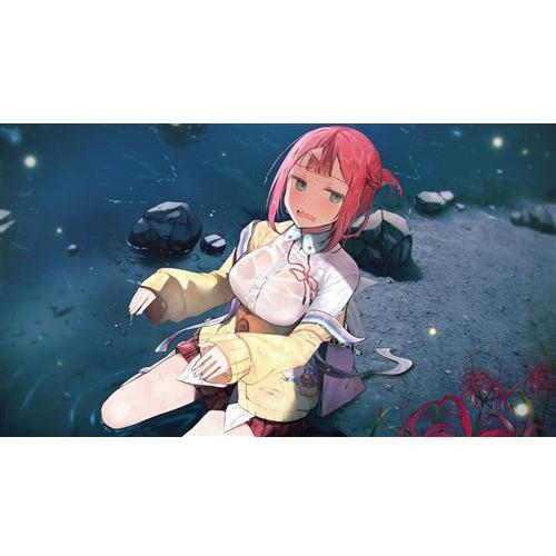 ゴーヘルゴー つきおとしてこ 【Switch】 HAC-P-BEWAA ゴーヘルゴー つきおとしてこ 【Switch】 HAC-P-BEWAA