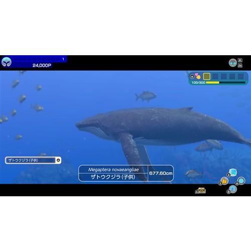 フォーエバーブルー ルミナス 【Switch】 HAC-R-A7LKA : ヤマダデンキ