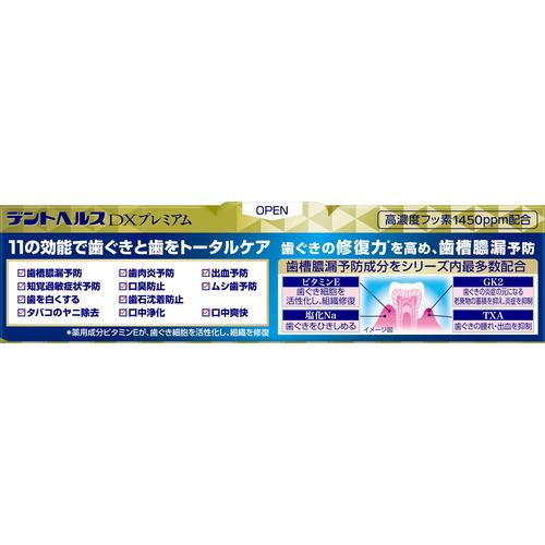 ライオン デントヘルス 薬用ハミガキ DXプレミアム 歯磨き粉 90g 歯槽