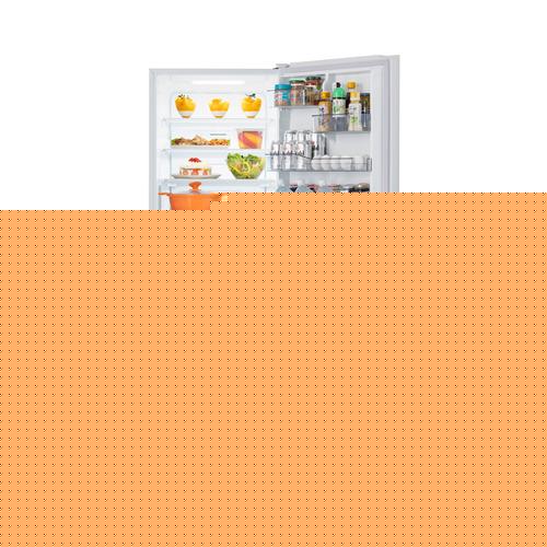 東芝最新モデル冷蔵庫411L