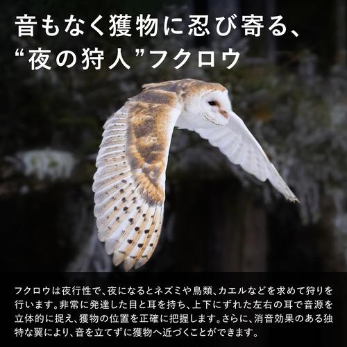 シャープ PJHS01 プラズマクラスターオウルフローハンディファン 静音
