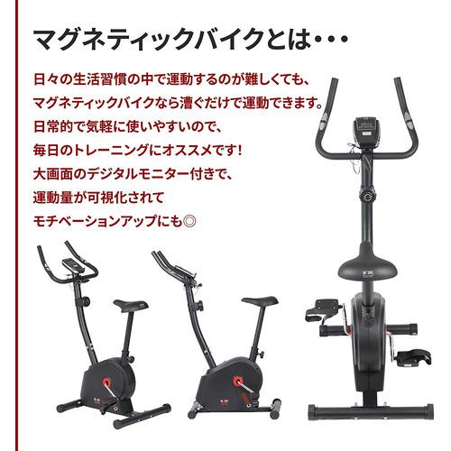 ボディスカルプチャー TKS91HM014 マグネティックバイク_4