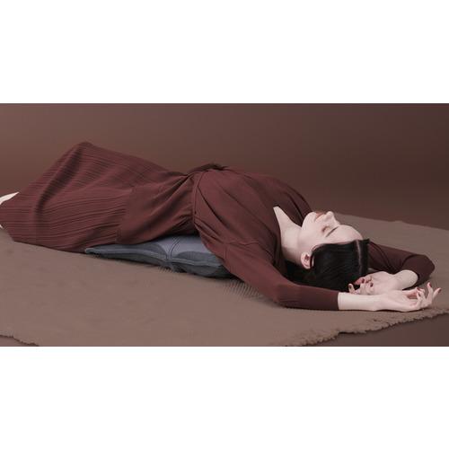 【正規販売店】 アテックス AX-HPL368DG シートマッサージャー ルルド AXHPL368DG 【1851511443】(11869円)