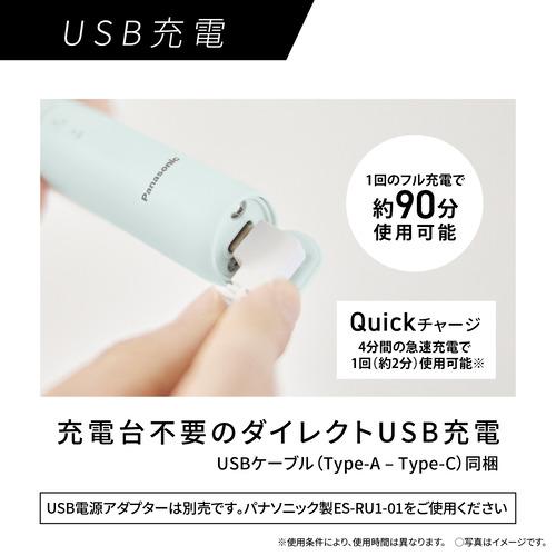 パナソニック EW-DA18-G 音波振動ハブラシ ドルツ リニア音波振動で 