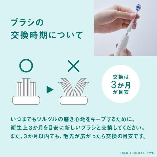 パナソニック EW-DA19-W 音波振動ハブラシ ドルツ 歯周ポケットの